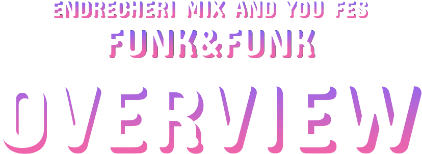 ENDRECHERI MIX AND YOU FES FUNK&FUNK OVERVIEW